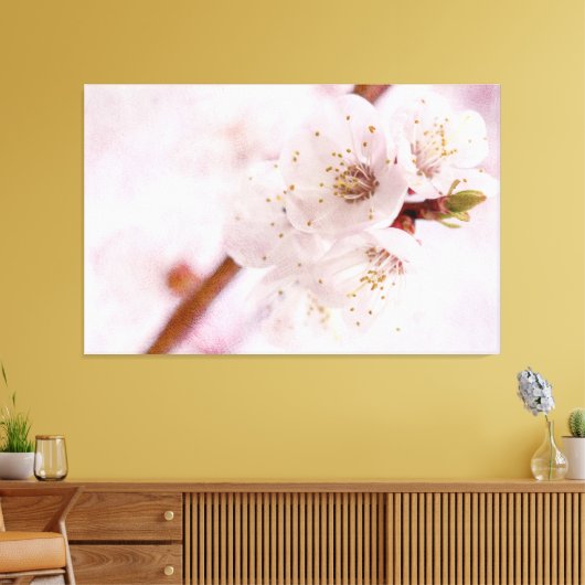 Zachte roze abrikozenbloemen in het voorjaar canvas afdruk (Insitu (Woonkamer))