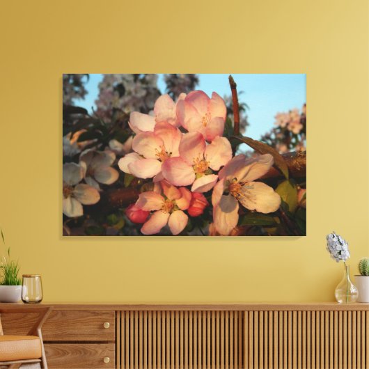 Zachte roze appel bloesems verpakt canvas print (Insitu (Woonkamer))