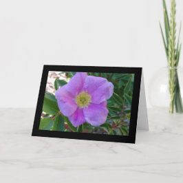 Zachte Roze Bloem - Lied van de Zon. 8:7 Wenskaart Kaart