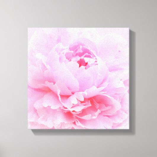 zachte roze bloemblaadjes canvas print (Voorkant)