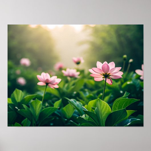 Zachte roze bloemen poster (Voorkant)