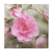 Zachte roze Camellia bloem Tegeltje (Voorkant)