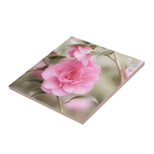 Zachte roze Camellia bloem Tegeltje (Zijkant)