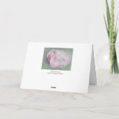 Zachte Roze Flamingo Persoonlijke verjaardag Kaart (Achterkant)