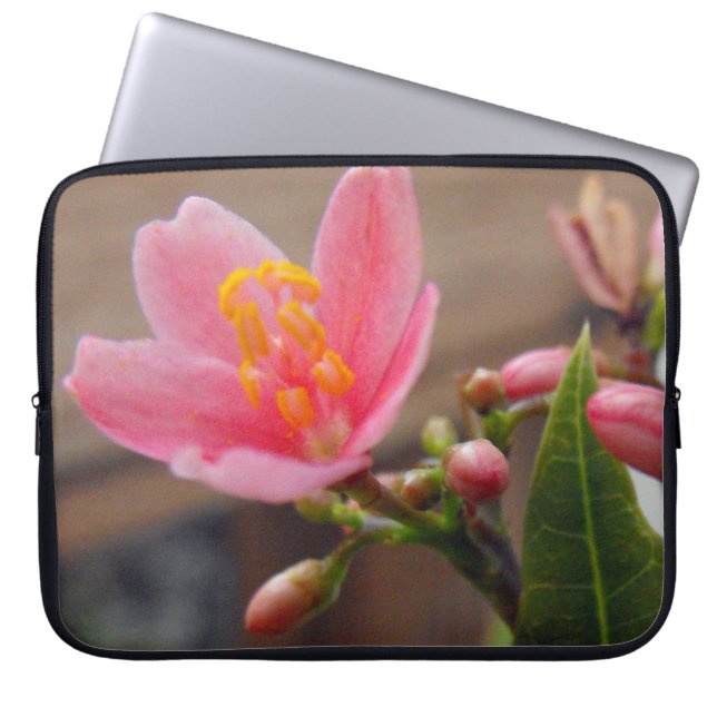 Zachte Roze Jatropha Bloem Laptop Sleeve (Voorkant)