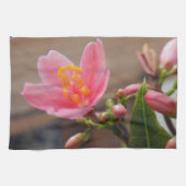 Zachte Roze Jatropha Bloem Theedoek (Horizontaal)