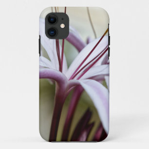 Zachte Roze Lelie Bloem Botanische Foto Kunst iPhone 11 Hoesje