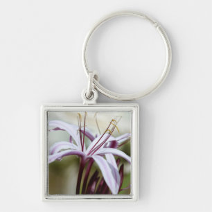 Zachte Roze Lelie Bloem Botanische Foto Kunst Sleutelhanger