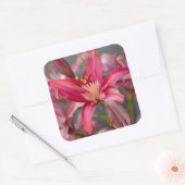 Zachte Roze Lelie Vierkante Sticker (Envelop)