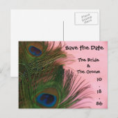 Zachte Roze Pauw Veren Save the Date Aankondigingskaart (Voorkant / Achterkant)