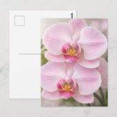 Zachte Roze Phalaenopsis Orchidee Briefkaart (Voorkant / Achterkant)