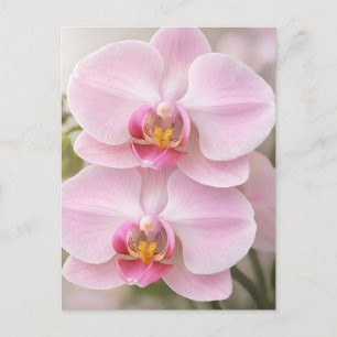 Zachte Roze Phalaenopsis Orchidee Briefkaart