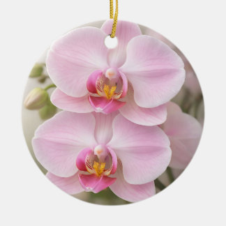Zachte Roze Phalaenopsis Orchidee Keramisch Ornament