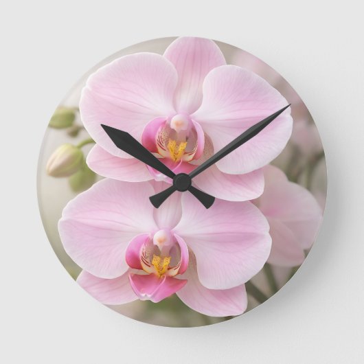 Zachte Roze Phalaenopsis Orchidee Ronde Klok (Voorkant)