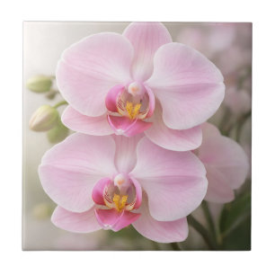 Zachte Roze Phalaenopsis Orchidee Tegeltje