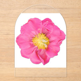 Zachte Roze Pioen Bloem Botanisch Acryl  Uitnodigingen