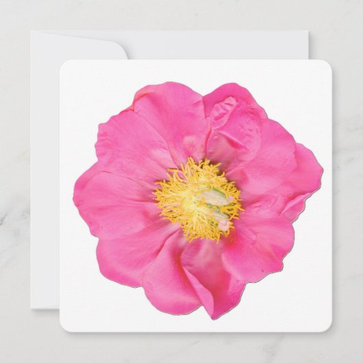 Zachte Roze Pioen Bloem Botanische Kunst Kaarten (Voorkant)