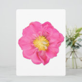 Zachte Roze Pioen Bloem Botanische Kunst Kaarten (Staand voorkant)