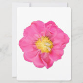 Zachte Roze Pioen Bloem Botanische Kunst Kaarten (Voorkant)
