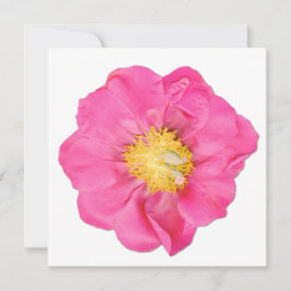 Zachte Roze Pioen Bloem Botanische Kunstkaarten Kaart