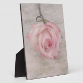 Zachte Roze Roos Bloem Fotoplaat (Zijkant)