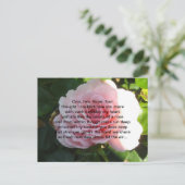 Zachte Roze Roos met Romantisch Vers Briefkaart (Staand voorkant)