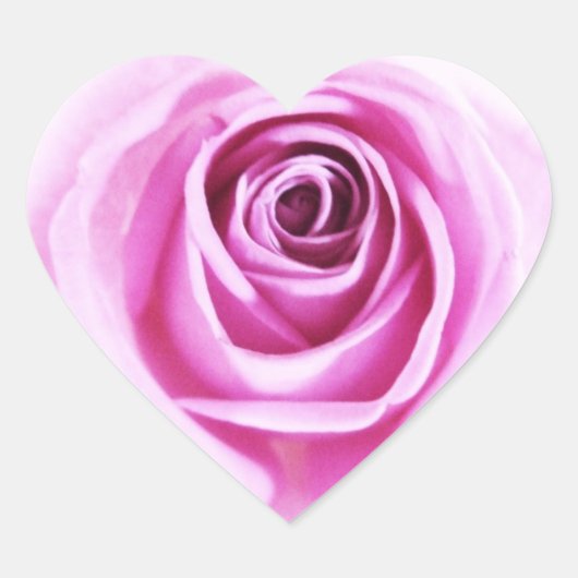 Zachte Roze Rose Love Flower Hart Sticker (Voorkant)