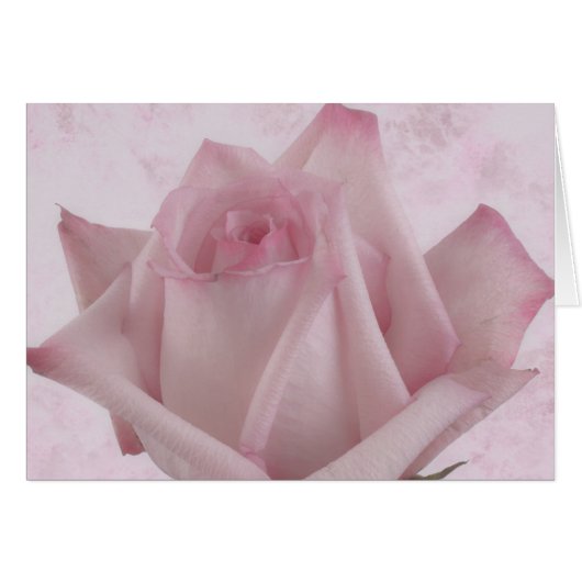 Zachte Roze Roze Kaart (Voorkant Horizontaal)