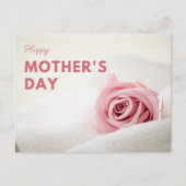 Zachte Roze Roze Moederdag Briefkaart (Voorkant)