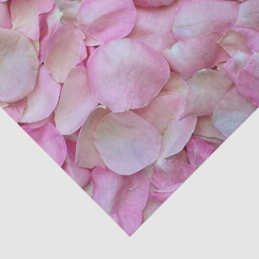 Zachte roze roze petalen tissuepapier (Detail)