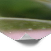 Zachte Roze Roze Poster (Hoek)