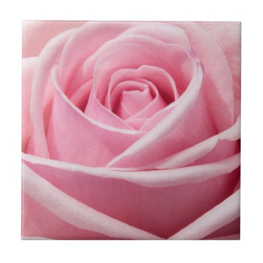 Zachte Roze Roze Tegeltje (Voorkant)