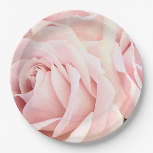 Zachte roze rozen papieren bordje (Voorkant)