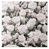 Zachte roze rozen tegeltje (Voorkant)