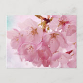 Zachte roze torenbloesems briefkaart (Voorkant)