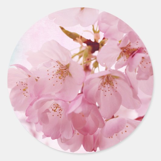 Zachte  roze torenbloesems ronde sticker (Voorkant)