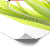 Zachte roze Tulpen, Poster van het Vrijgezellenfee (Hoek)