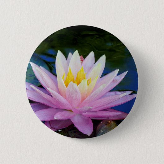 Zachte roze waterlily Pin Button (Voorkant)