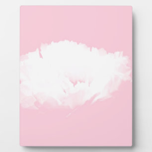 Zachte Roze Witte Pioen Bloemen Plaque Fotoplaat