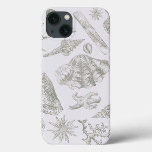Zachte Saliegrijze Zeeschelp Schets Antiek Natuur iPhone 13 Hoesje