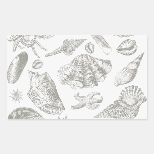 Zachte Saliegrijze Zeeschelp Schets Antiek Natuur Rechthoekige Sticker (Voorkant)