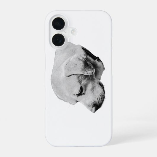 zachte schaduw iPhone 16 hoesje (Achterkant)