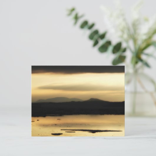 Zachte schemering briefkaart (Staand voorkant)