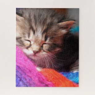 Zachte slaapstand, Newborn Kitten Photototgraaf Legpuzzel