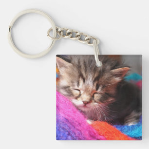 Zachte Slaperige Pasgeboren Kitten Foto Sleutelhanger