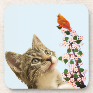 Zachte Tabby Kat & Kleine Vogel op Lichtblauw Bier Onderzetter