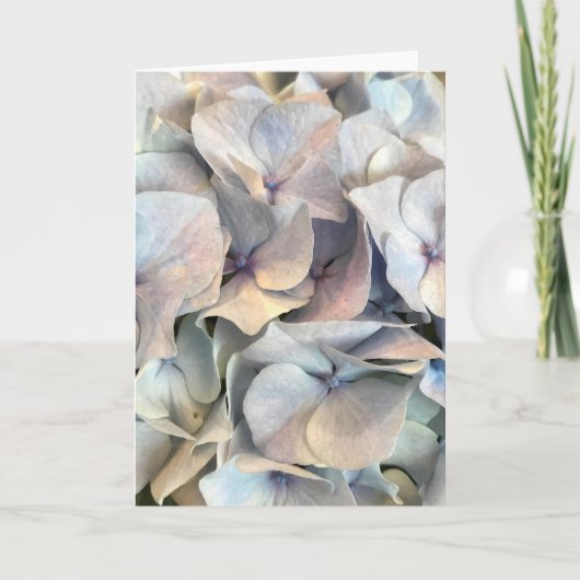 Zachte uitdrukkingen, blanco kaart (Voorkant)