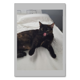 Zachte vacht, Kat, Bijvoeglijke lezing Flashcards Kaart