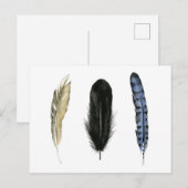 Zachte veren I Briefkaart (Voorkant / Achterkant)