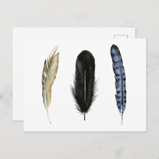 Zachte veren I Briefkaart (Voorkant / Achterkant)